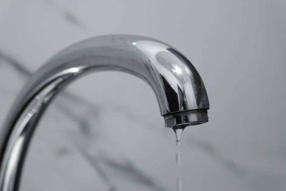 Why Trust Our Expertise in Wall Leak Detection?