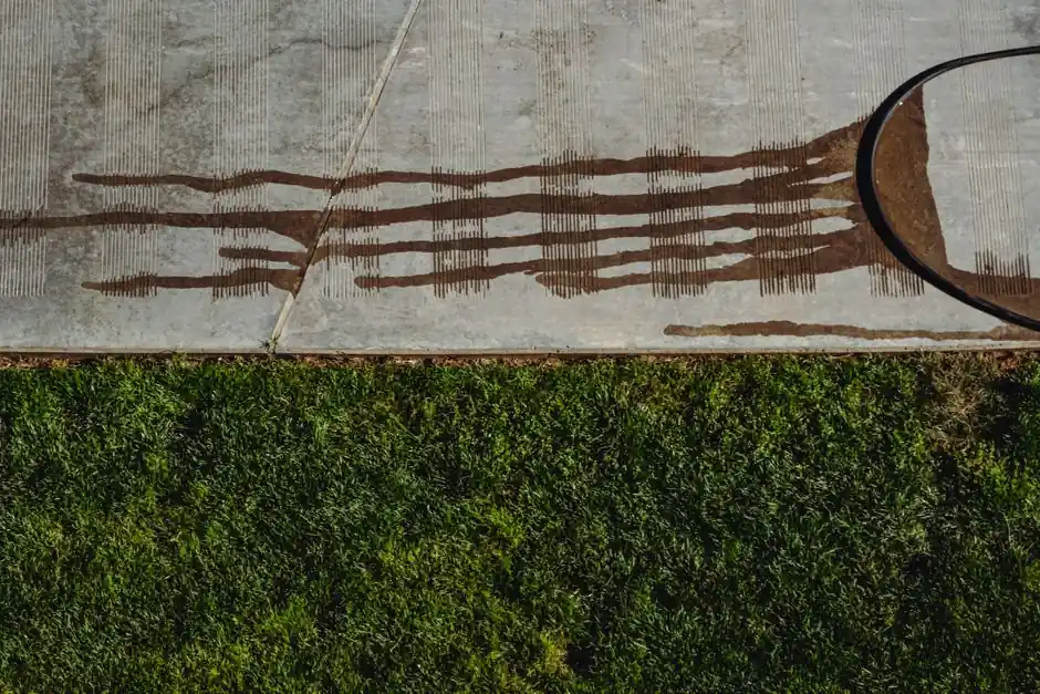 Aerial view of wet concrete sidewalk with hose and green grass contrasting textures.